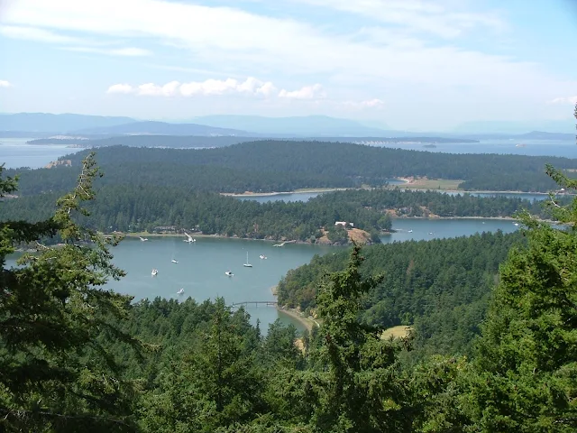 view from Young Hill overlooking mosquito pass and Garrison bay
