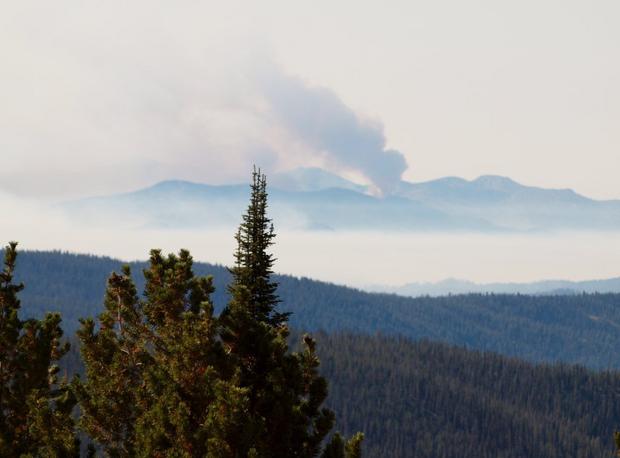 Virginia Wildfire Information and Prevention: An American Hero dies and ...