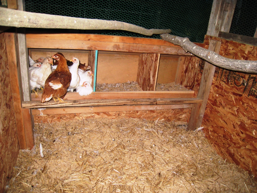 Life in Rural Japan Sleeping arrangements