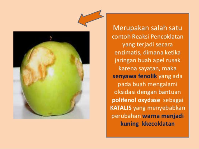 76 Gambar Apel Matematika Paling Bagus 76 Gambar Apel Matematika Paling Bagus