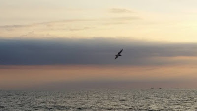 Cape May Sunset