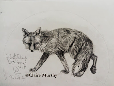 Wildlife drawing and sketching Wildlife drawing and sketching