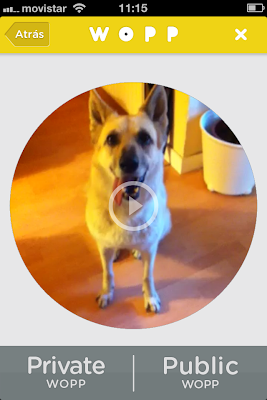 red social de videos española wopp vs vine