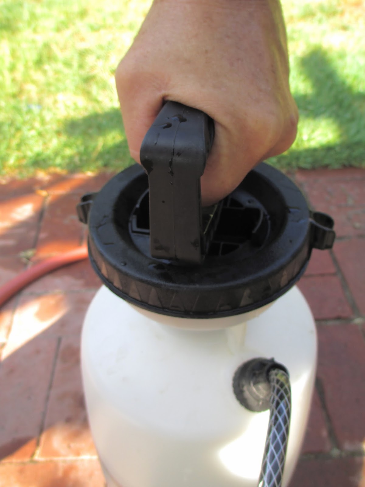 Andie's Way: How to Use a Garden Pump Sprayer - Tips for Beginners Pump Sprayer Won T Build Pressure