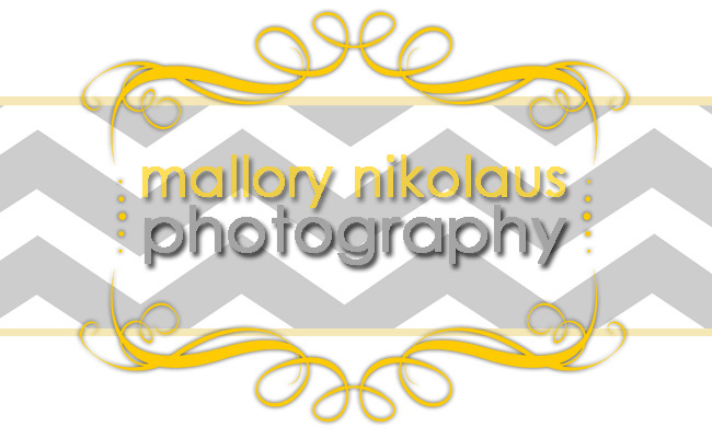Mallory Nikolaus Photography