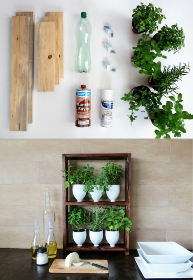 Small herb garden in recycling plastic bottles Diy Fun World