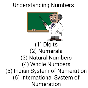Knowing your numbers - NCERT Class 6 Math