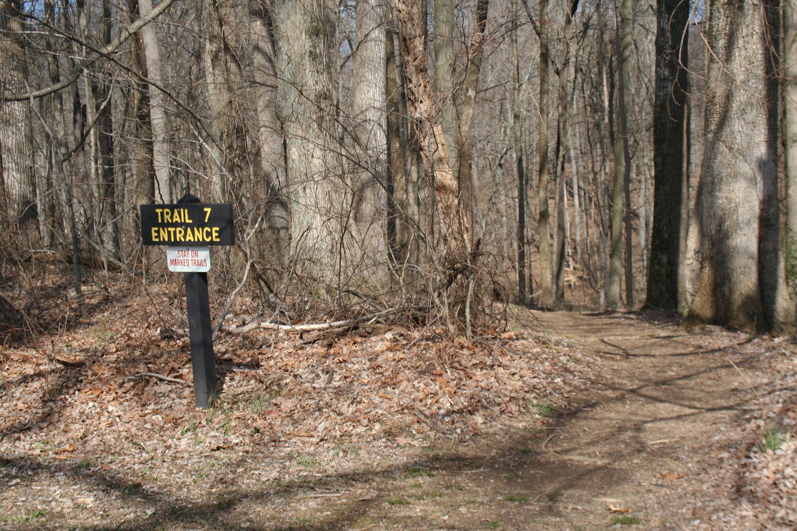 Image result for clifty falls