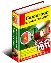 Situation Economique Du Cameroun