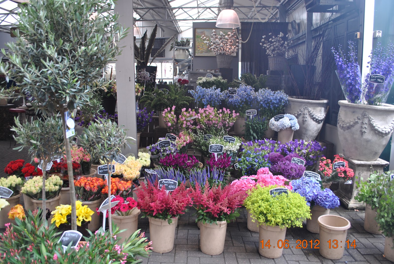 De peste tot si de nicaieri Piata de flori, Amsterdam