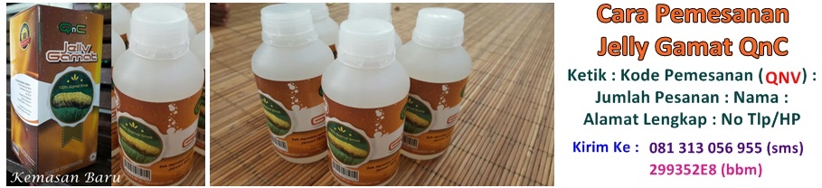 Produk QnC Jelly Gamat Asli