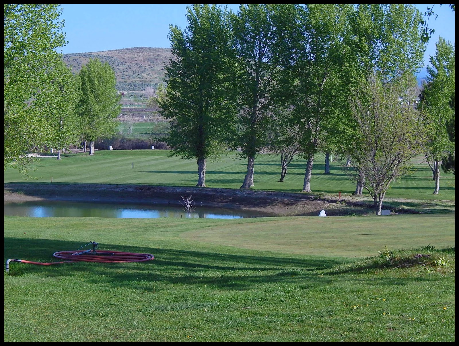 The Back Porch View Day Dreaming in Glenn's Ferry Idaho