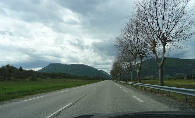 Landstraße mit knorrigen Bäumen auf der rechten Seite, links Bergspitzen und grüne Wiesen, Wälder