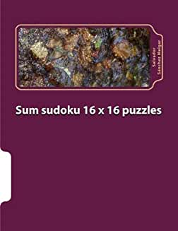 Sum Sudoku 16X16 Puzzles