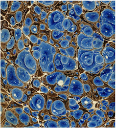 paper graphic pattern patterns backgrounds web background deco designs marbleized shell graphics 19th textile fabric century decorative marbling decorated designing