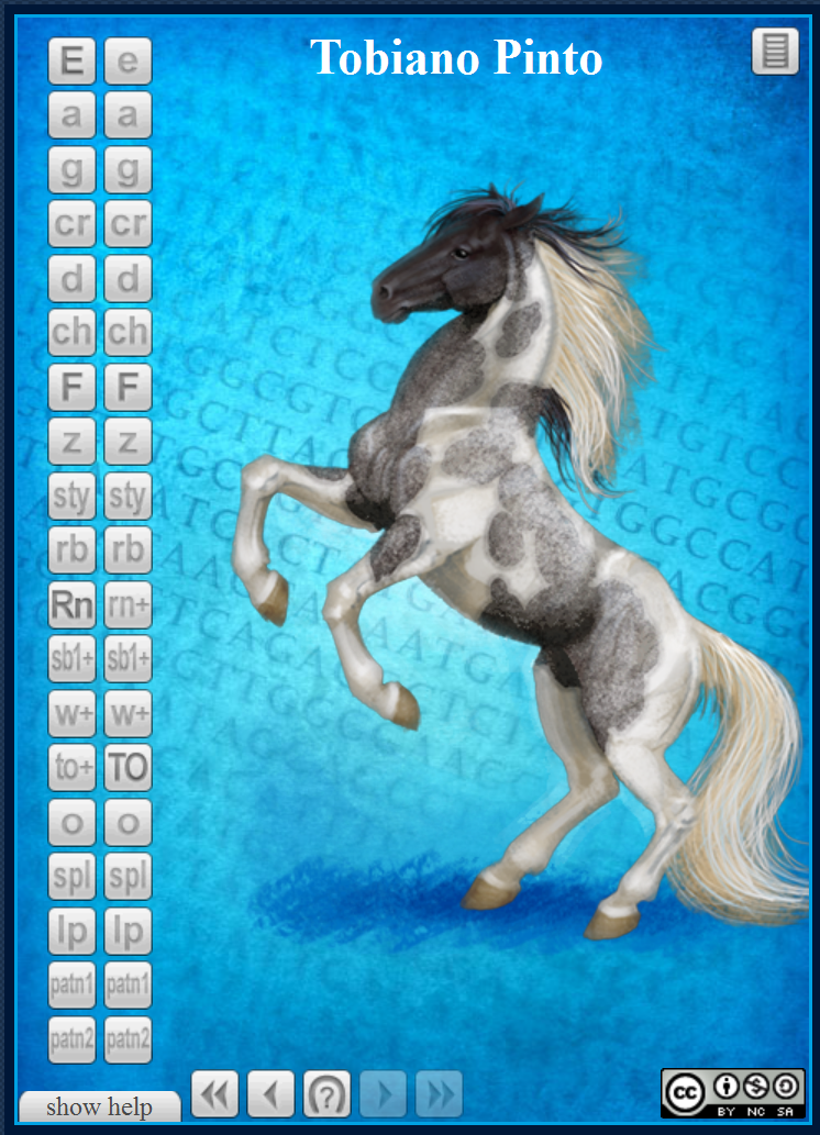 Virtual Pwnies Color Simulator by Jennifer Hoffman