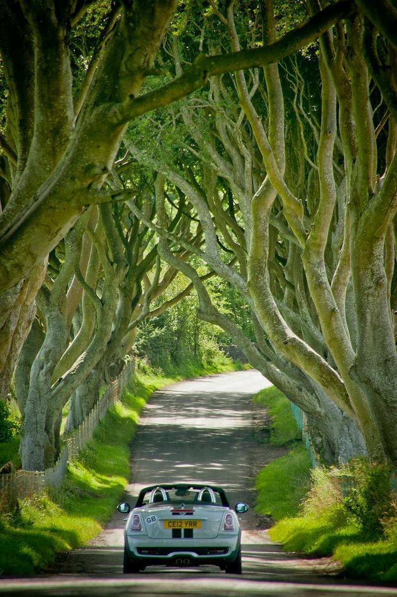 The Dark Hedges The Most Photographed Natural Phenomena in Ireland