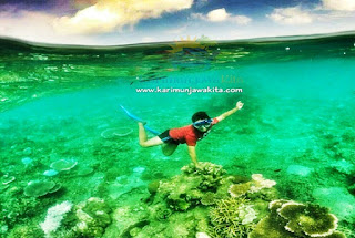 Karimunjawa underwater beauty karimunjawa tour 2016 cheap