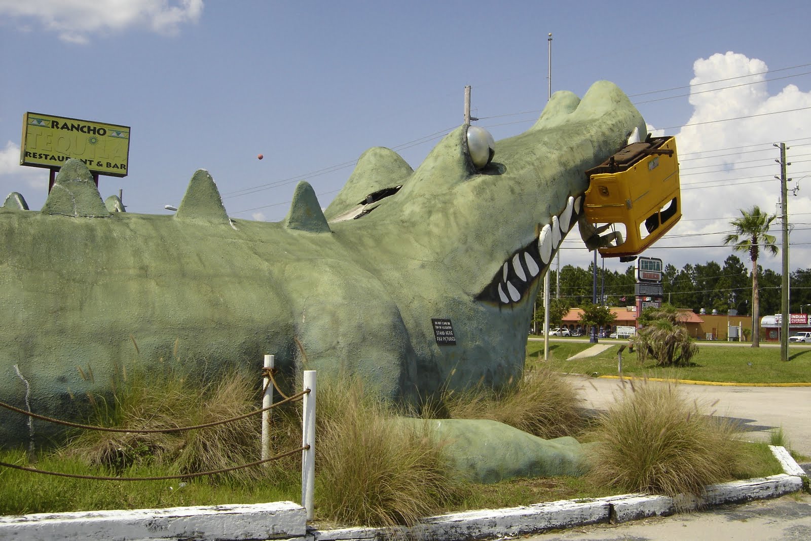 Places To Go, Buildings To See Jungleland Zoo Kissimmee, Florida