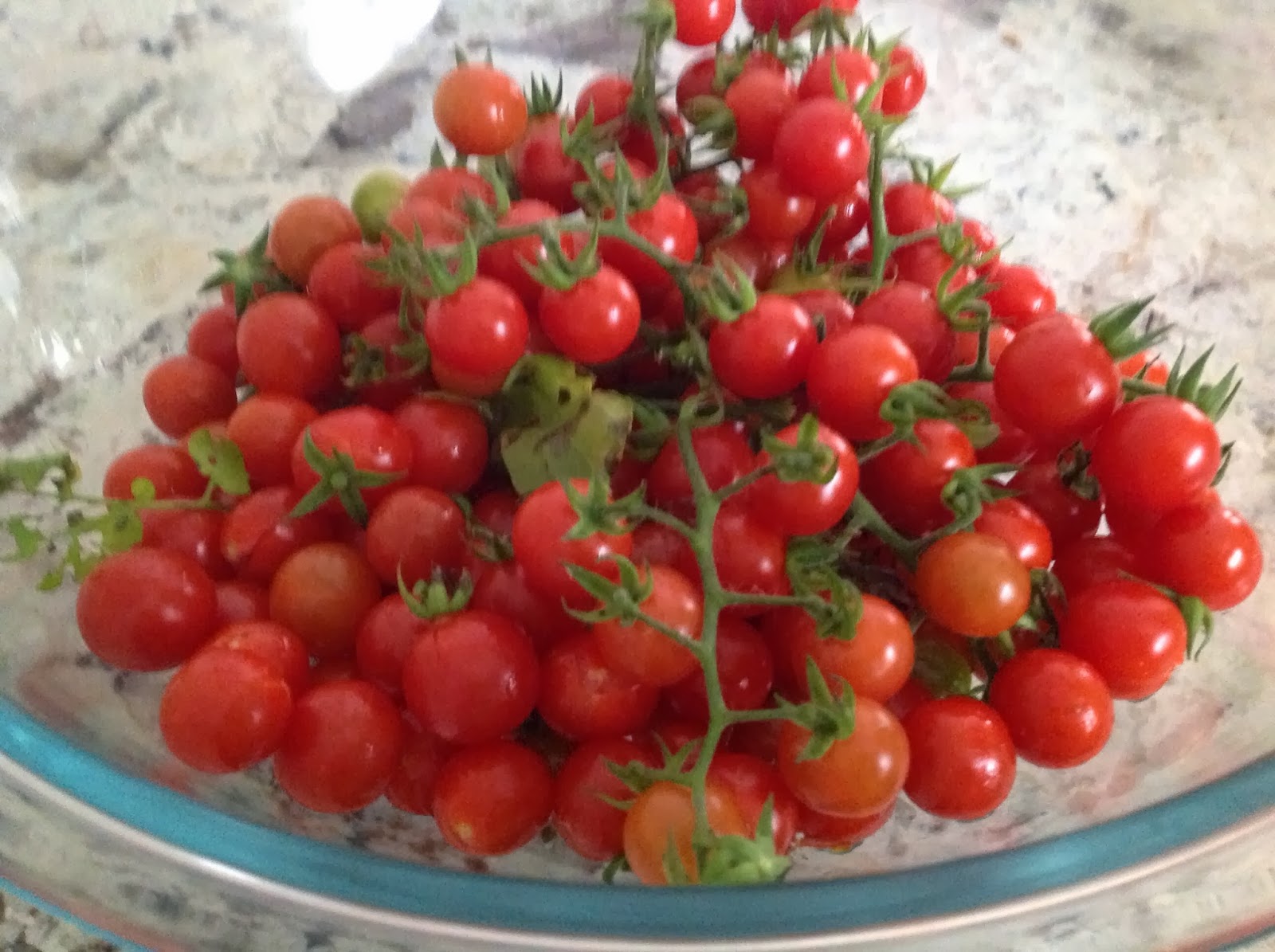 freshly picked bowl of cherry tomatoes with stems