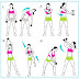 Workout exercise Lengkap buat Pria & Wanita