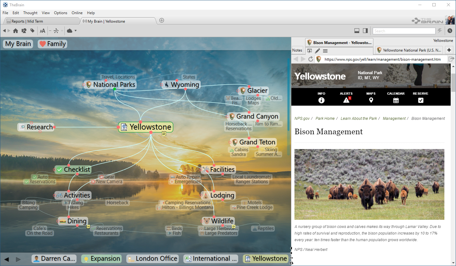 view by multiple tags thebrain view by multiple tags thebrain