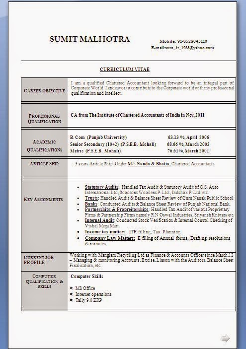 CA Professional Resume Format - Resume Format (68).JPG