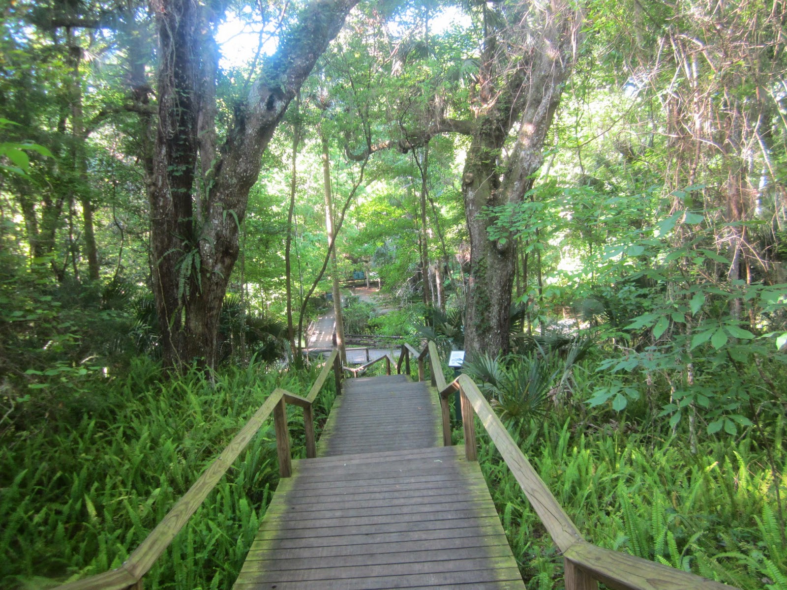 Dave's Yak Tales Rock Springs Run and Wekiva River