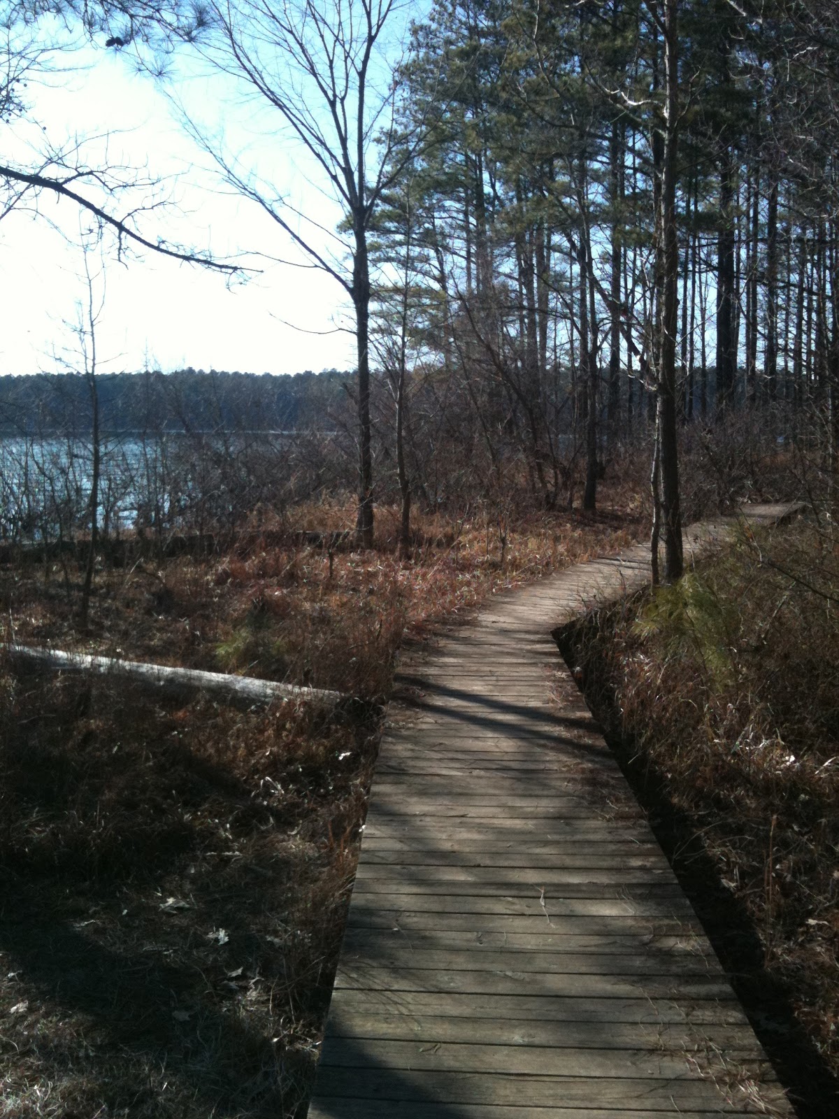 John Takes a Hike Jordan LakeSeaforth