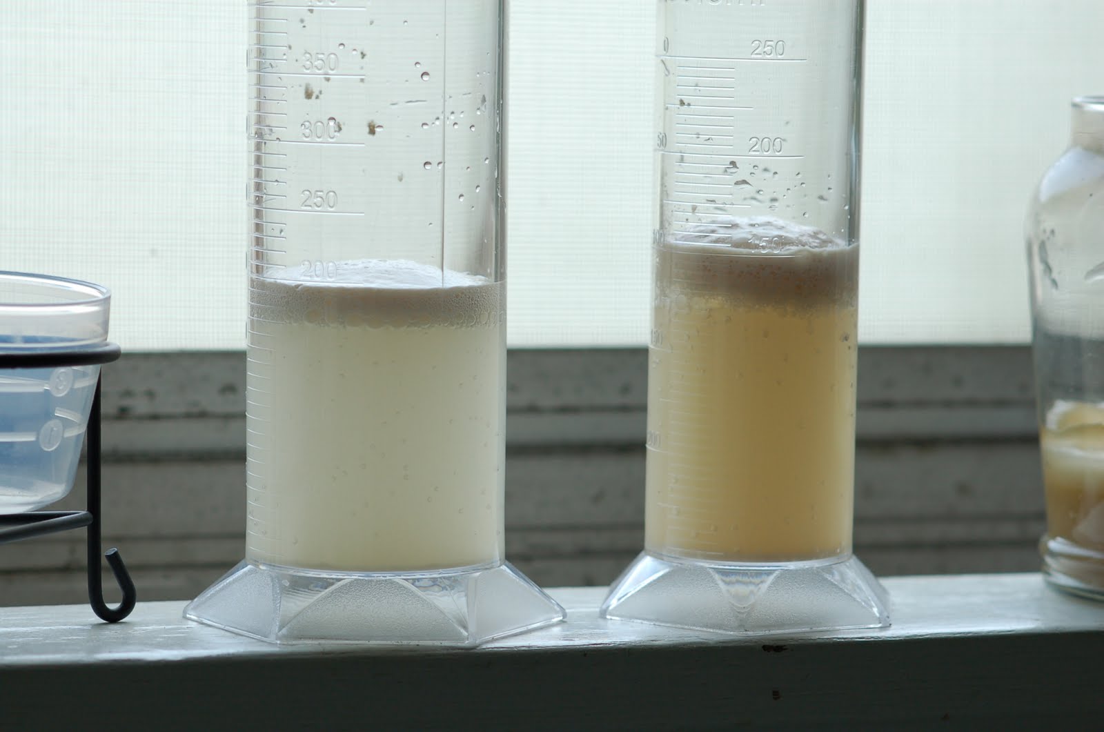 Morris Classical Academy Yeast Experiment