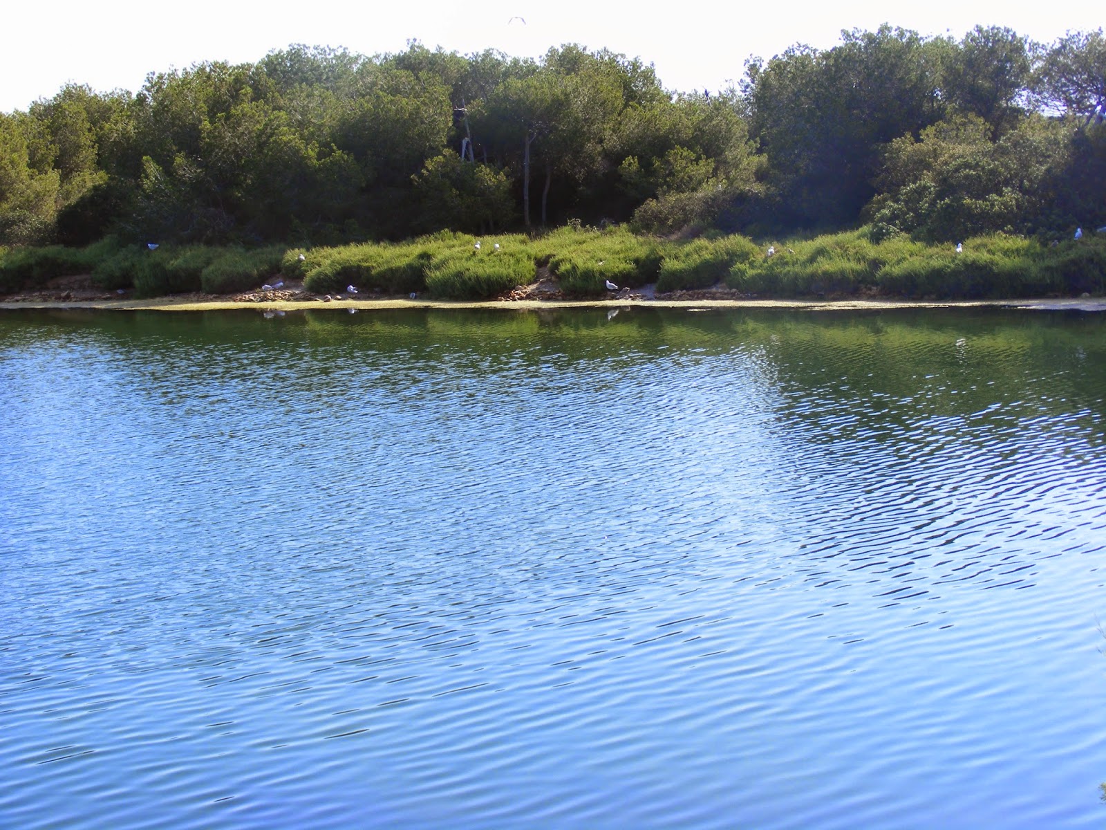 Fotos que me gustan Todas están hechas por mi El lago artificial de