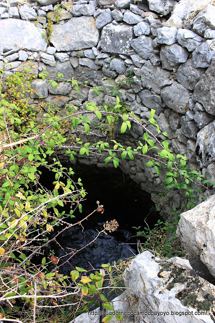 Cuaderno de Campo Payoyo: noviembre 2011