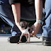 10 of World's Smallest Animals/Creatures