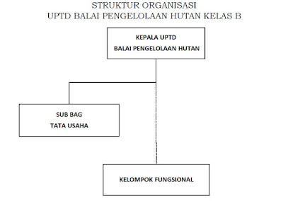 Struktur organisasi UPTD Balai Pengelolaan Hutan Kelas B Struktur organisasi UPTD Balai Pengelolaan Hutan Kelas B