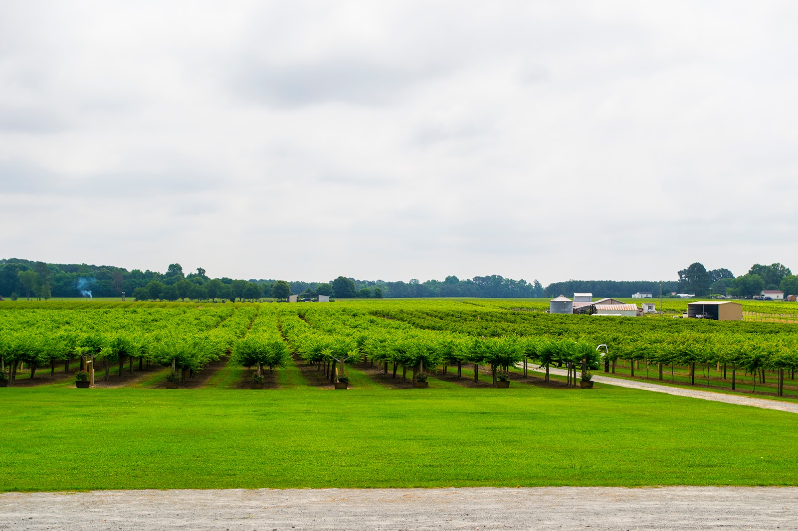 February 2016 HinesSight Blog