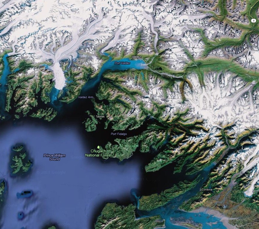 FORREST GLADDING Cordova, Alaska is buried in Snow!