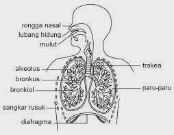 Jom Pelajari Sains (Tingkatan 3)