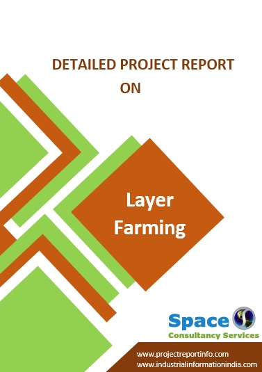 Project Report on Layer Farming