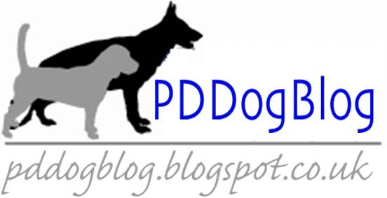 PDDogBlog