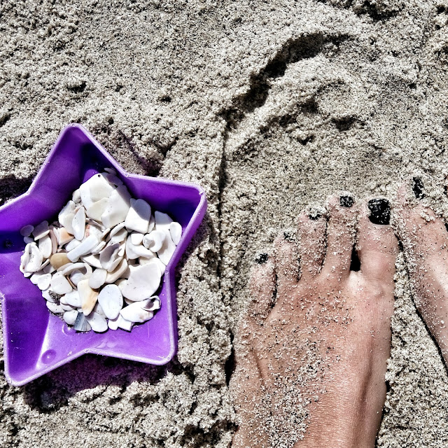 point dume beach collecting sea shells at point dume beach during labor day weekend.