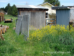 chicken coop coops progress expensive spent seeing keeping write reading lot