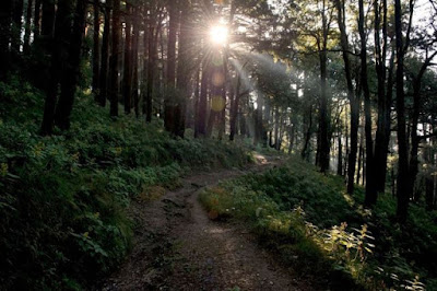 @InstaMag - Just "walk it off", is what most people say to cool others down. The coming months will surely hit you with soaring temperatures. How about challenging walk-in-nature-and-shake-off-summer-heat