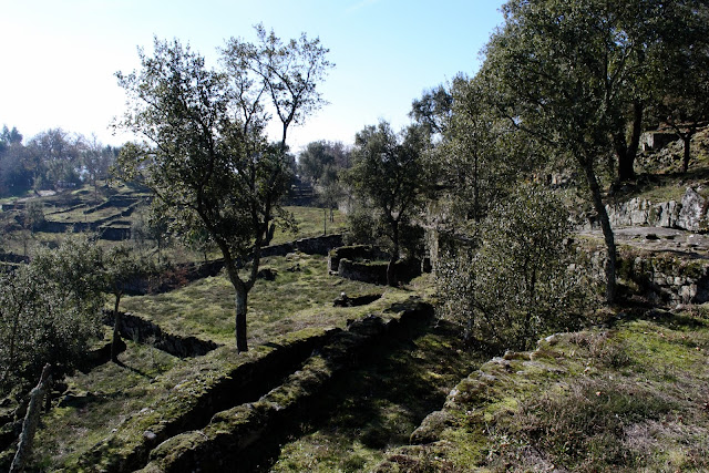 Citânia de Briteiros