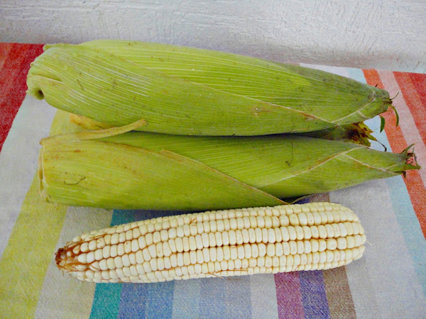 Tortitas fritas de elote