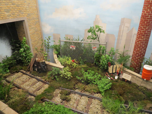 Philadelphia Flower Show 2019- Miniatures