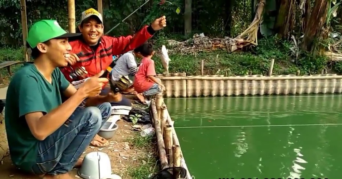 Master Umpan Ikan Mas - Toko Umpan Master Essen 100 % Asli Original