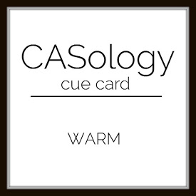  casology.blogspot.com