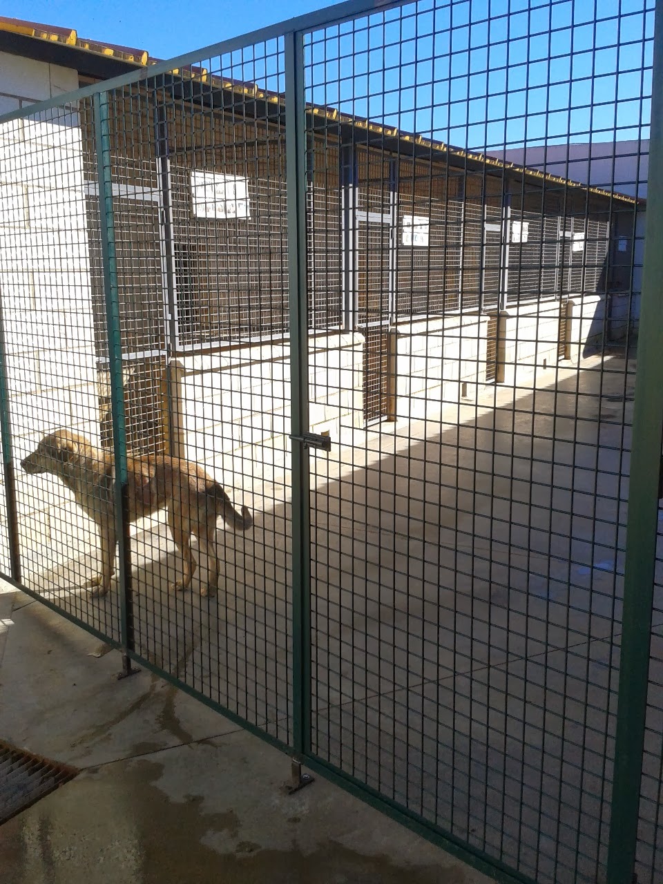 NUEVA CANCELA EN EL PATIO