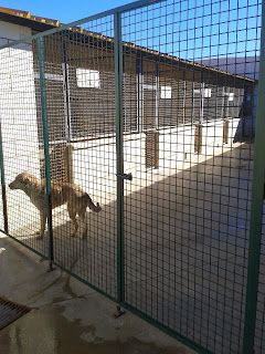 NUEVA CANCELA EN EL PATIO