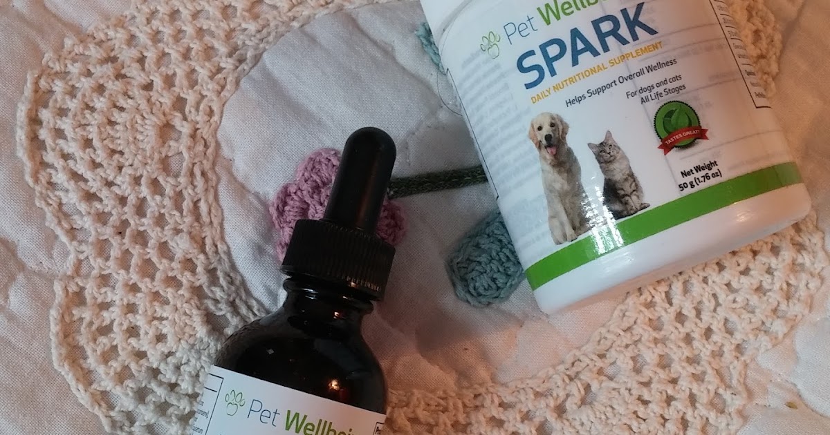 The Life Of Leo SUPPLEMENT SUNDAY SPARK FROM PET WELLBEING REVIEW